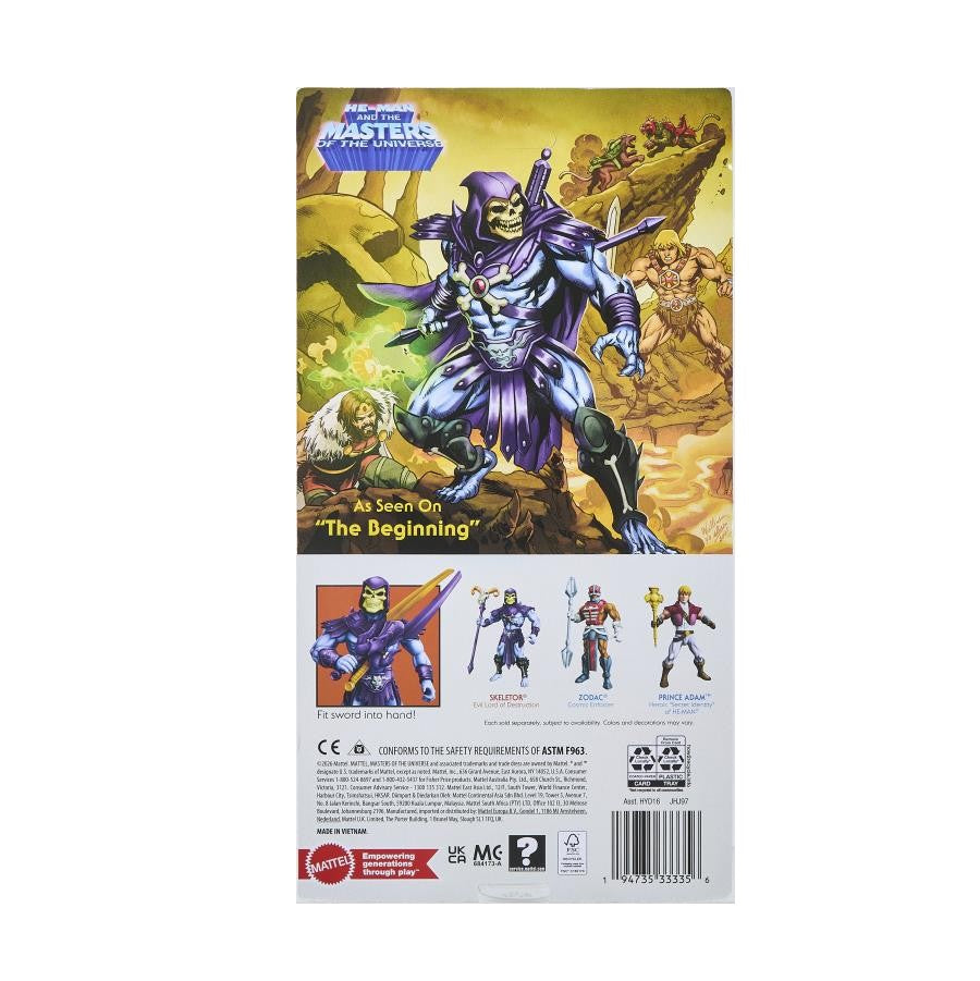 He-Man and the Masters of the Universe- Skeletor- Cartoon Collection Action Figure