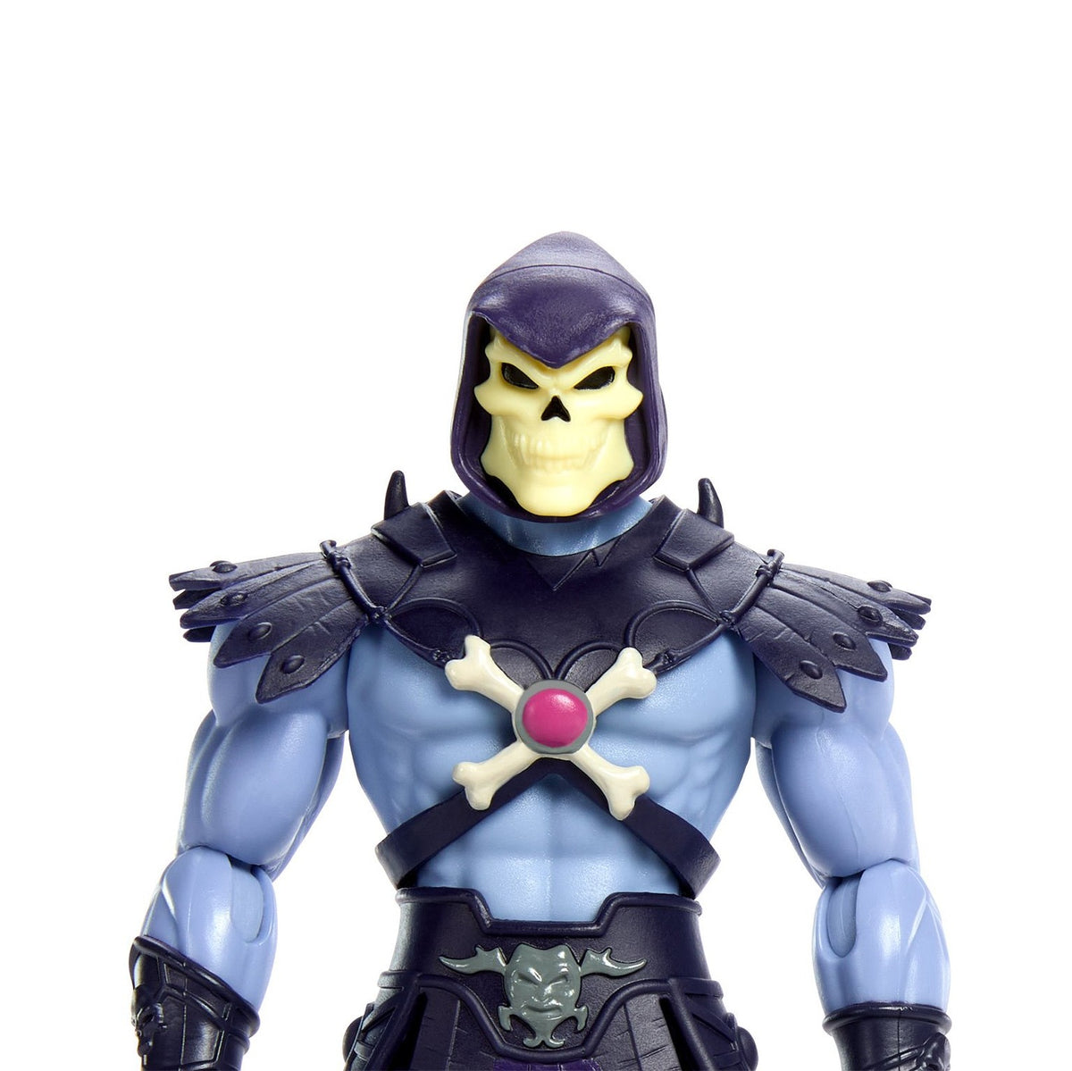He-Man and the Masters of the Universe- Skeletor- Cartoon Collection Action Figure