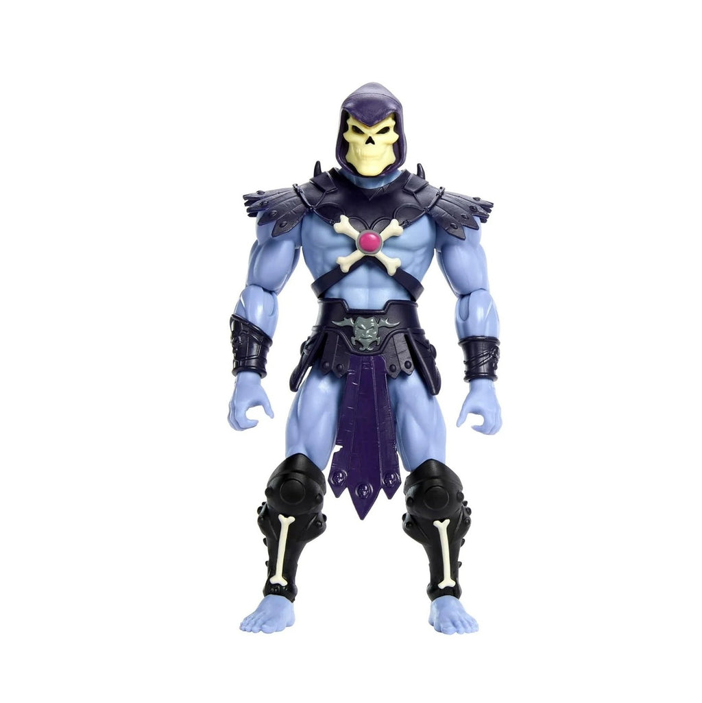 He-Man and the Masters of the Universe- Skeletor- Cartoon Collection Action Figure